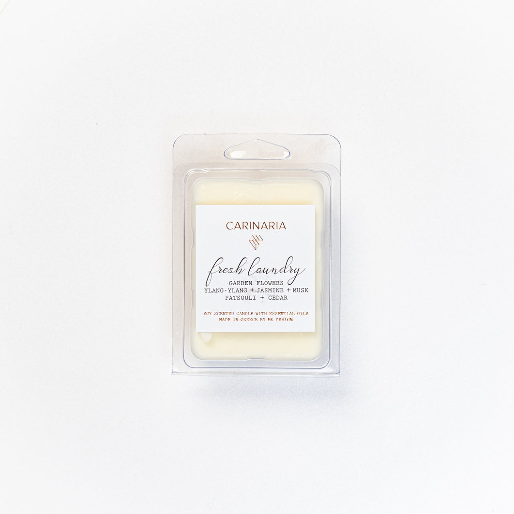 WAX MELTS